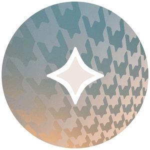 Meet your Posher, Joyce